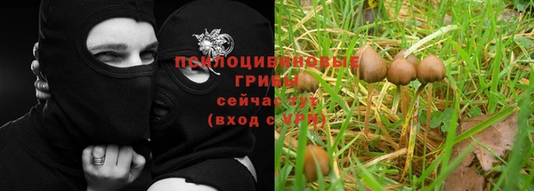 ALPHA PVP Сатка