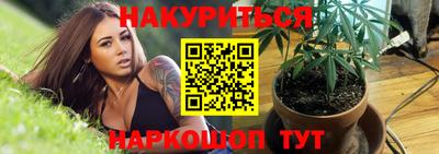 крисы Кунгур