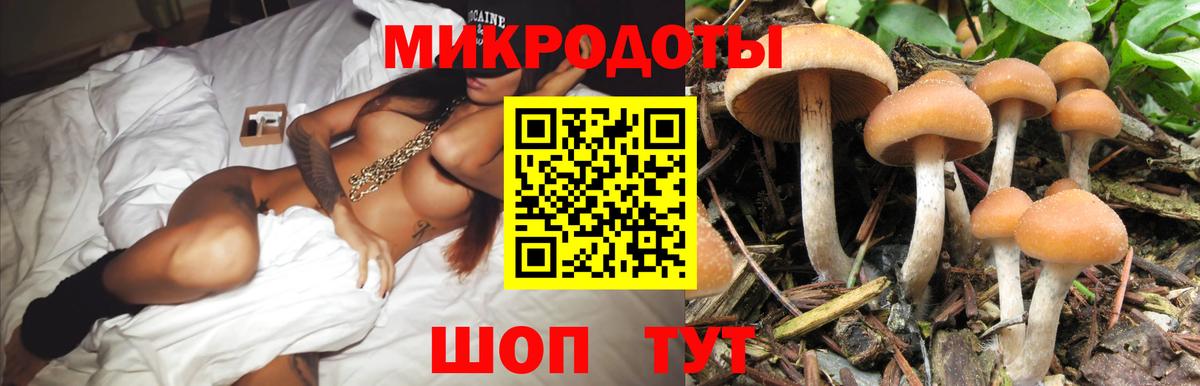 купить наркотик  Галлюциногенные грибы мицелий  Солнечногорск  Псилоцибиновые грибы мицелий 